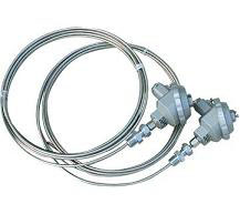 鎧裝熱電（diàn）阻